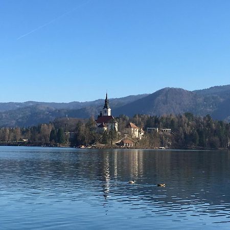 Vila Cerne Bled Esterno foto