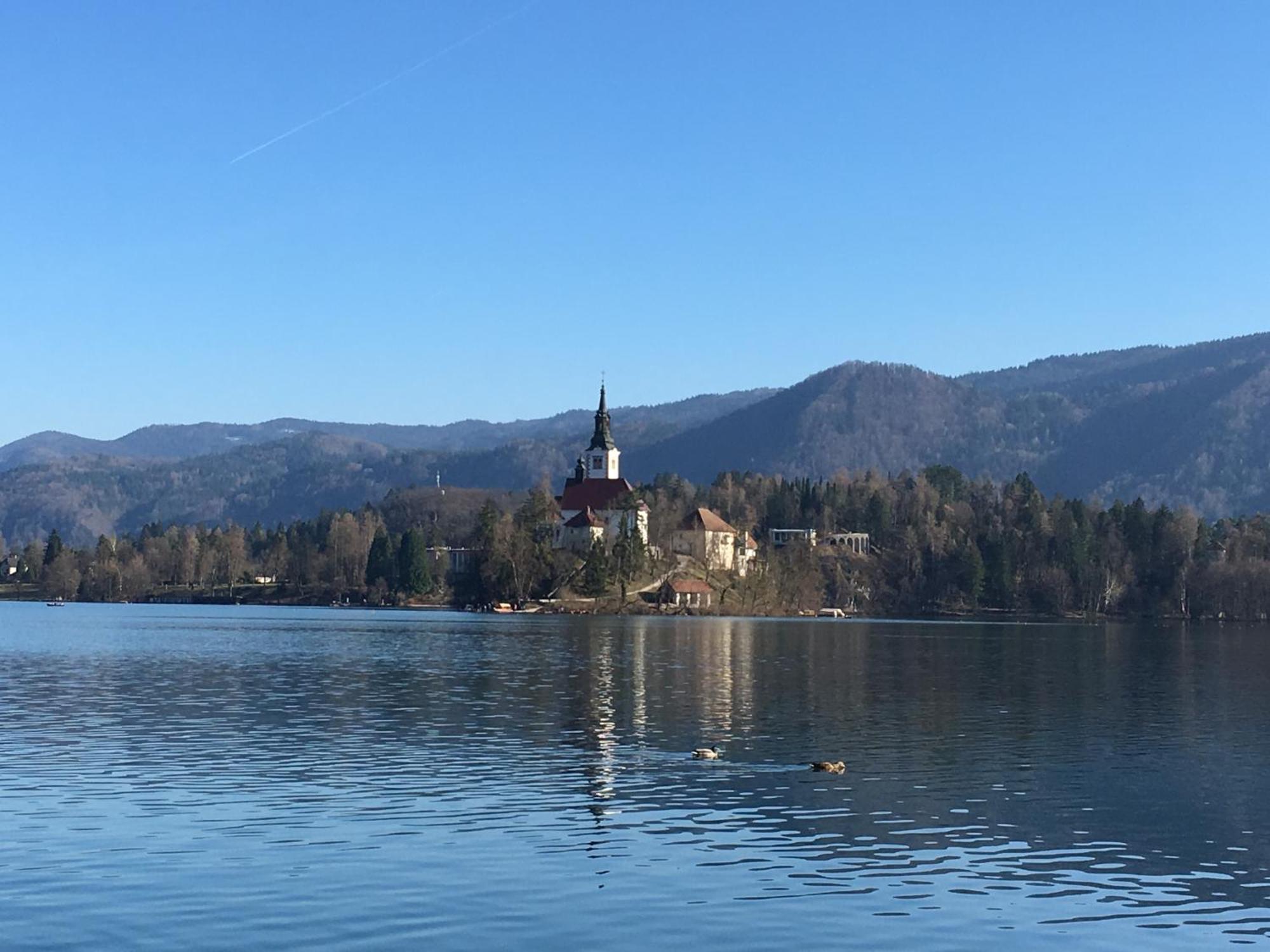 Vila Cerne Bled Esterno foto