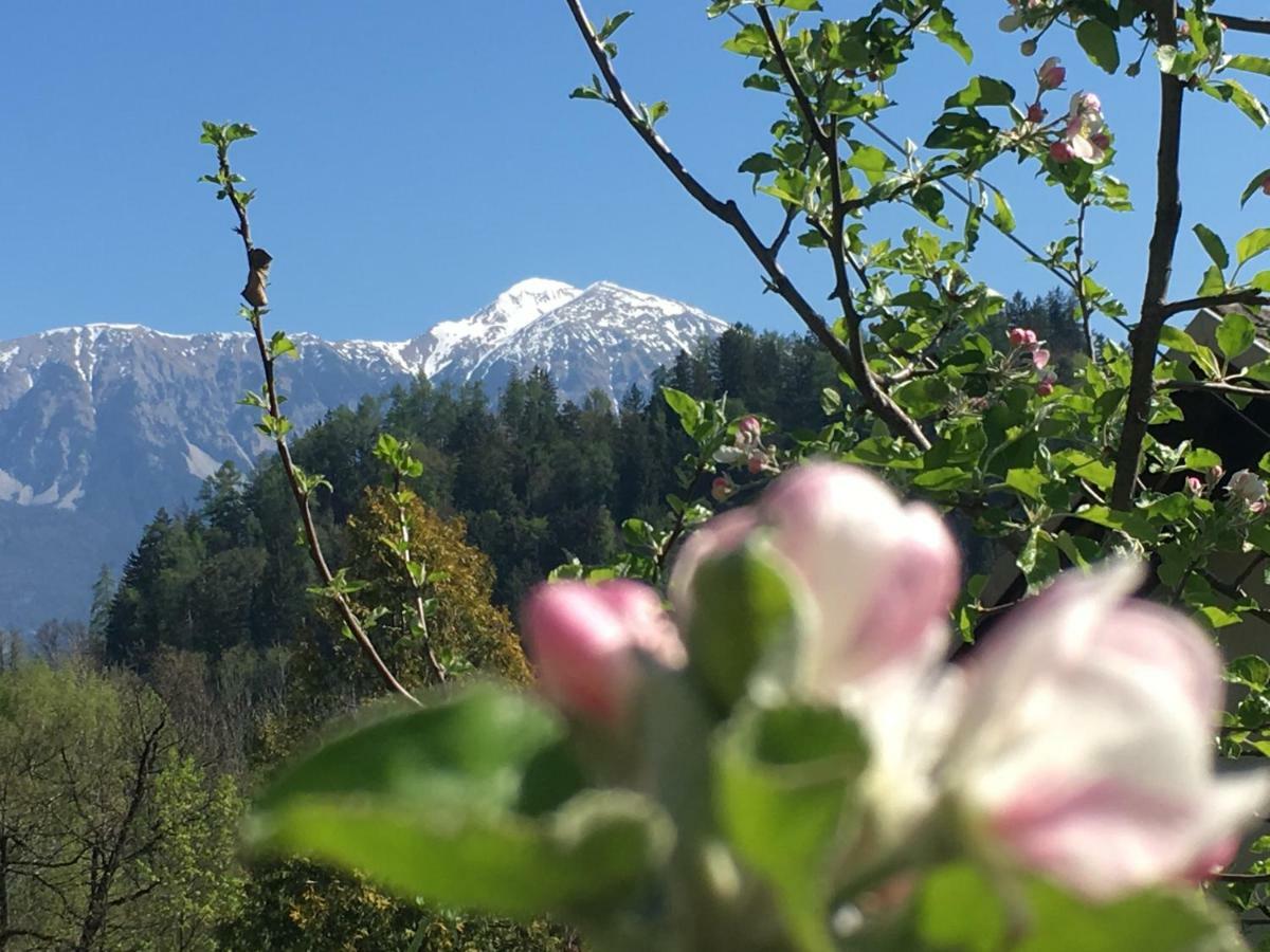 Vila Cerne Bled Esterno foto
